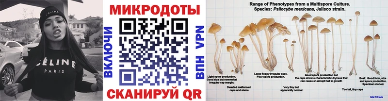 Псилоцибиновые грибы Cubensis  где купить наркотик  Болохово 